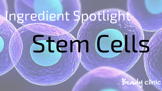 ingredient spotlight Stem Cells in skincare